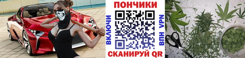 Бошки марихуана сатива  Новомосковск 